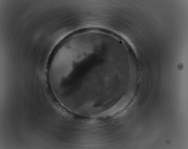 X0000101970879200807181102