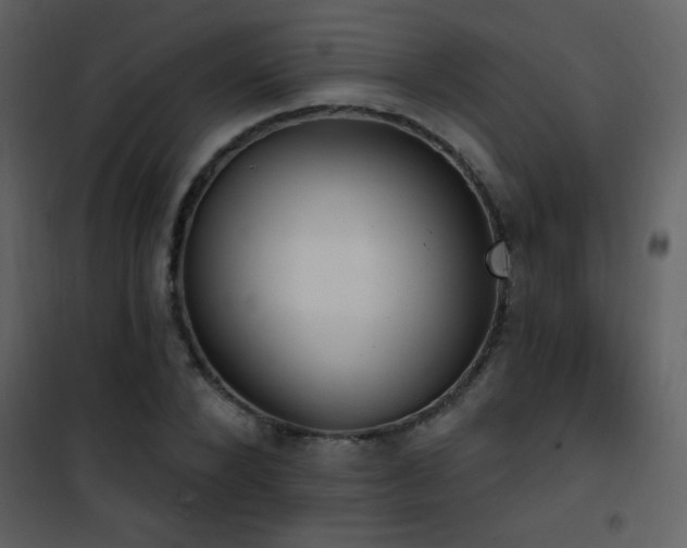 X0000101970880200807181102