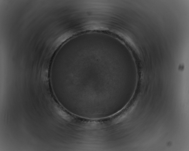X0000101970881200807181102