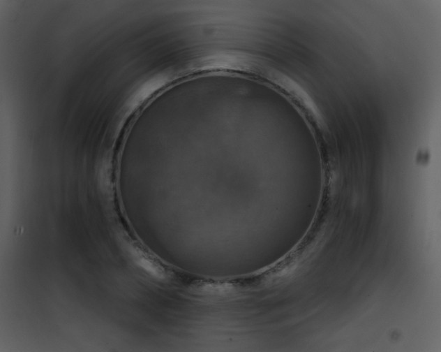 X0000101970882200807181102