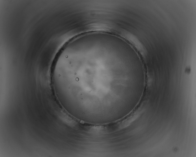 X0000101970883200807181102