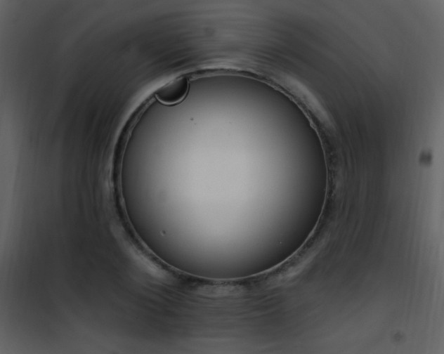 X0000101970884200807181102