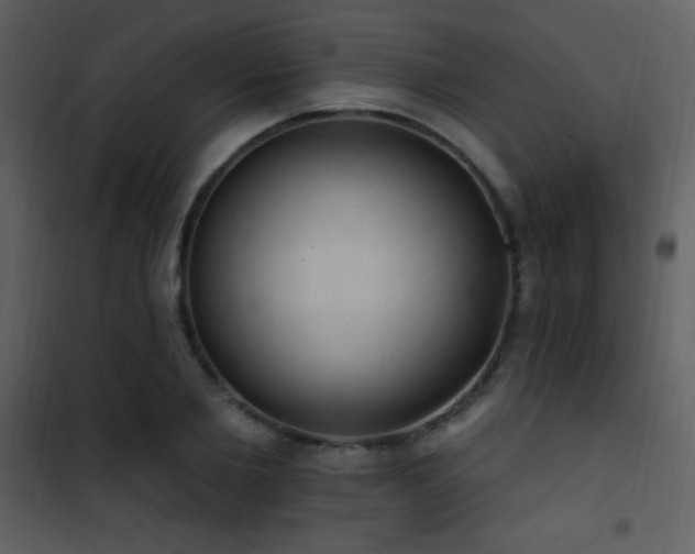 X0000101970885200807181102