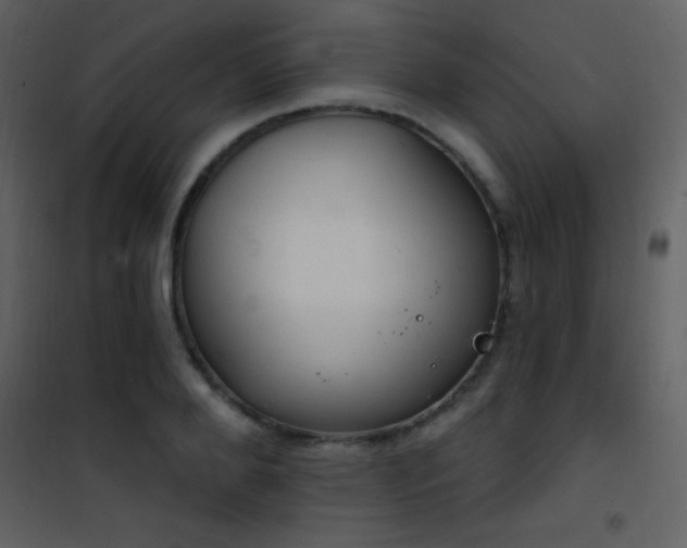X0000101970888200807181102