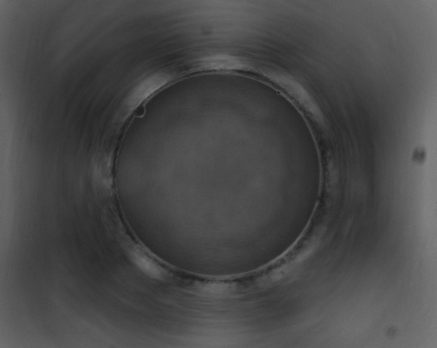 X0000101970889200807181102