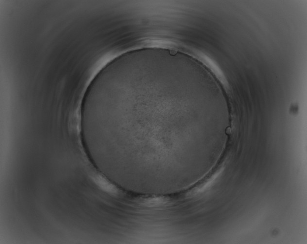 X0000101970891200807181102