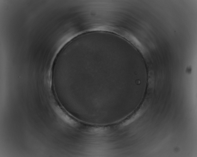 X0000101970892200807181102
