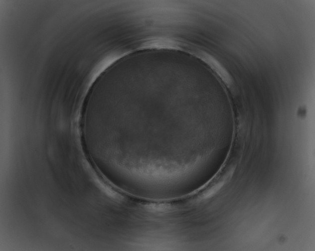 X0000101970893200807181102