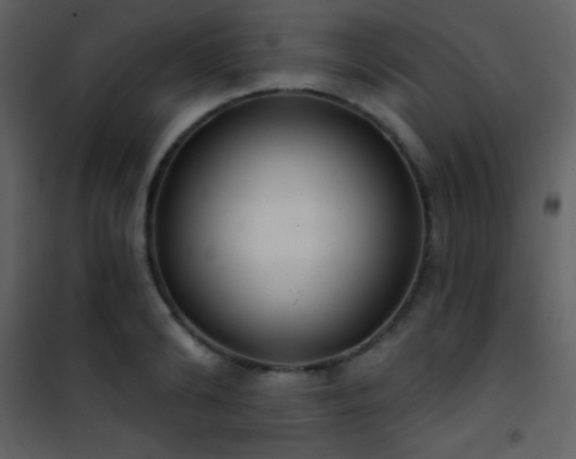 X0000101970894200807181102