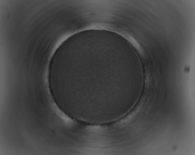 X0000101970896200807181102