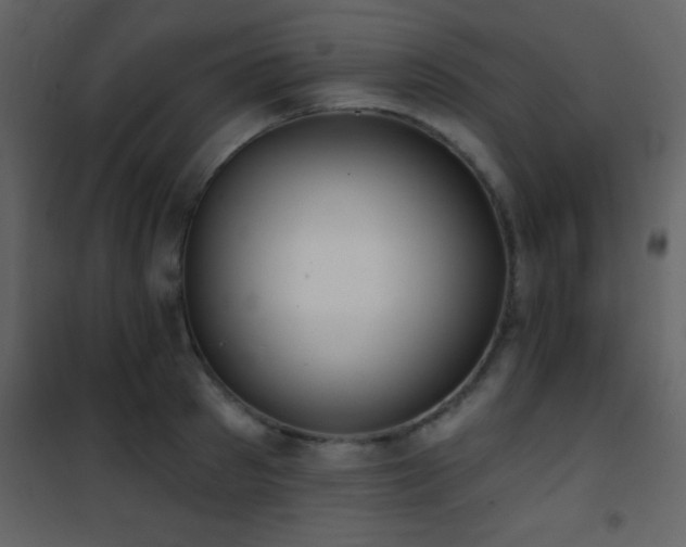 X0000101970897200807181102