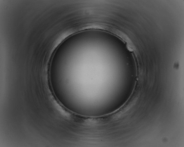 X0000101970898200807181102
