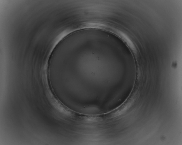 X0000101970899200807181102