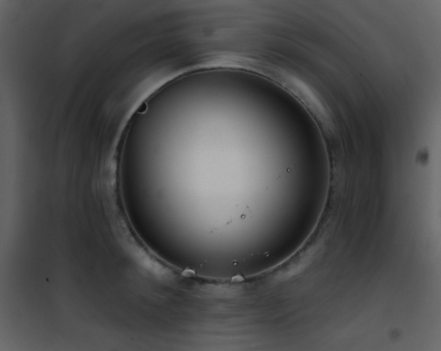 X0000101970900200807181102