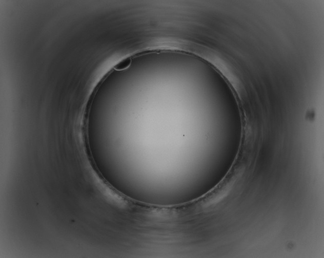 X0000101970901200807181102