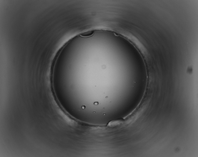 X0000101970902200807181102