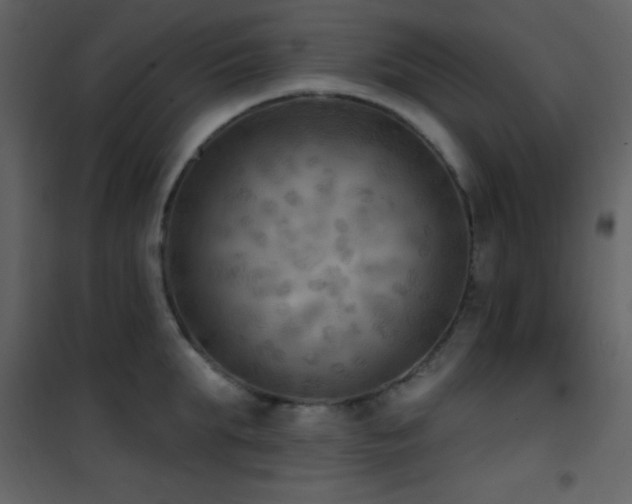 X0000101970903200807181102