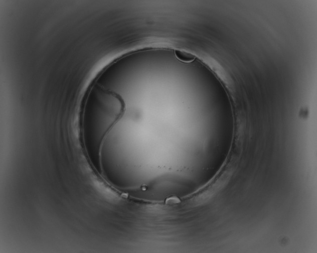 X0000101970904200807181102