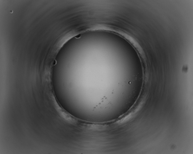 X0000101970905200807181102