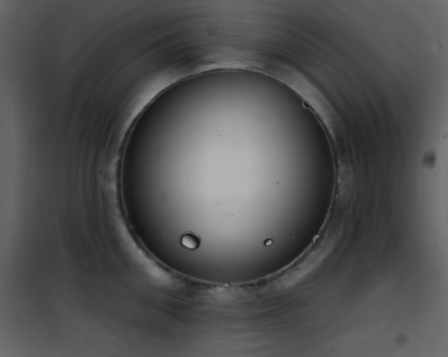 X0000101970906200807181102
