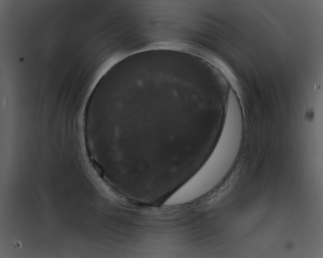 X0000101970907200807181102