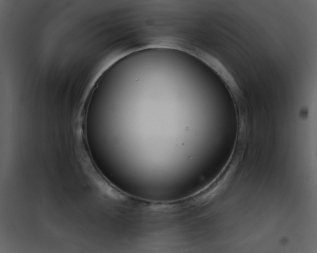 X0000101970908200807181102