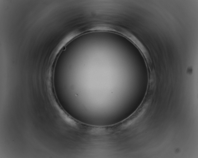 X0000101970909200807181102