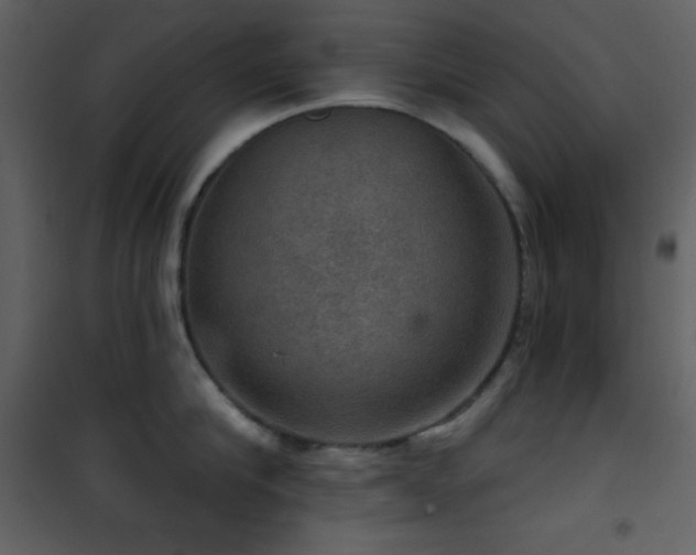 X0000101970910200807181102