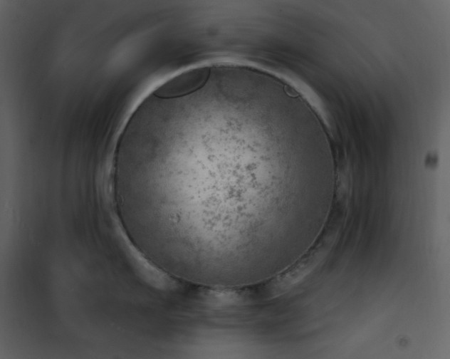 X0000101970911200807181102