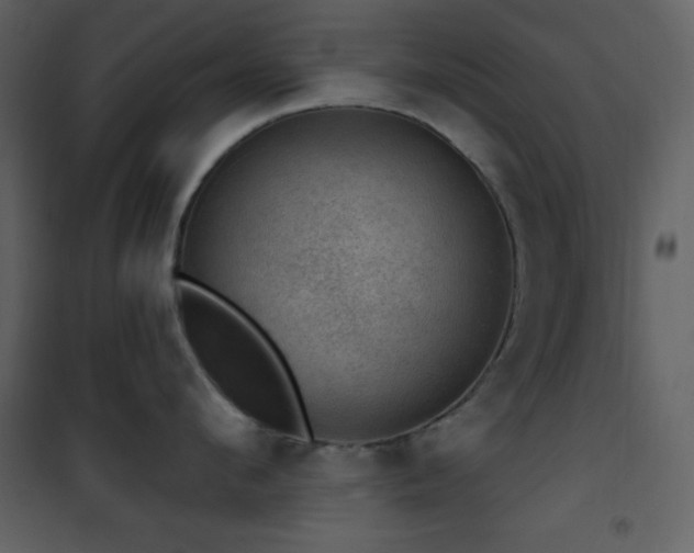 X0000101970912200807181101