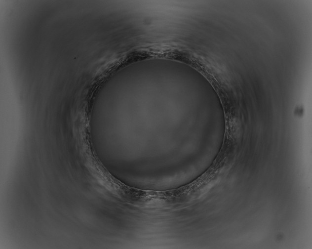 X0000101970913200807181101
