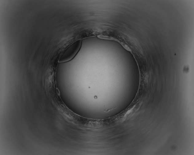 X0000101970914200807181101