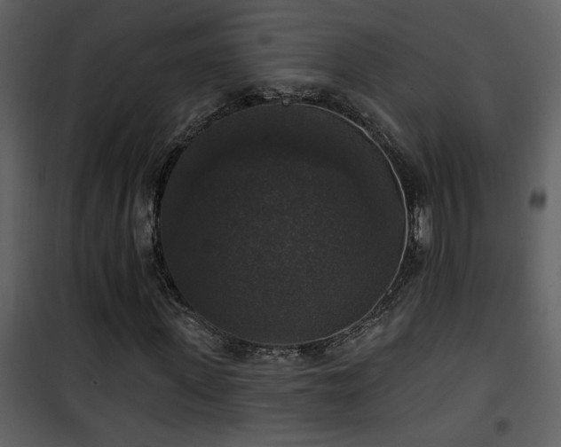 X0000101970915200807181101