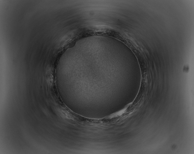 X0000101970916200807181101