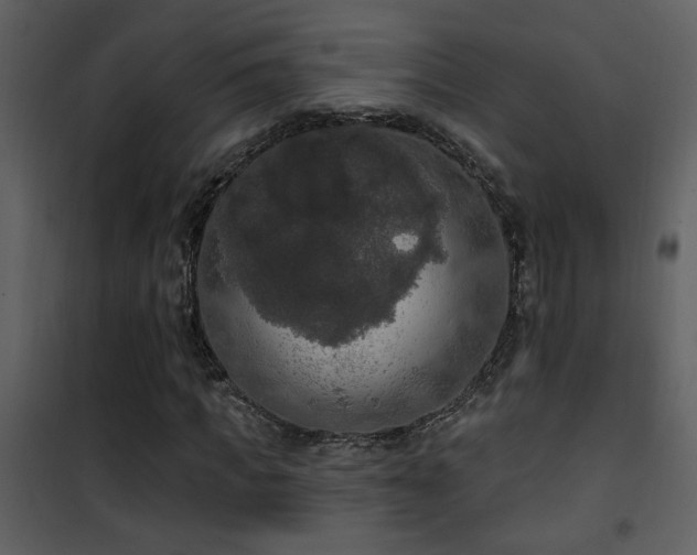 X0000101970917200807181101