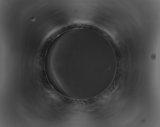 X0000101970919200807181101