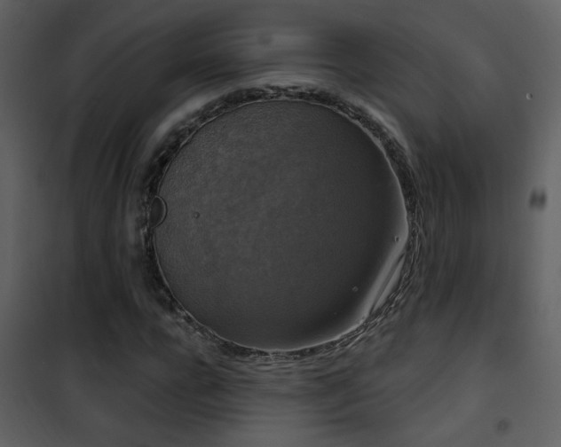 X0000101970920200807181101