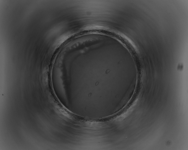 X0000101970921200807181101