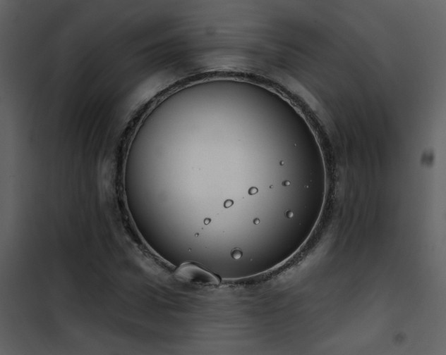 X0000101970922200807181101
