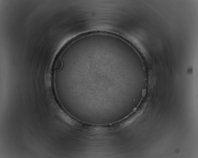 X0000101970924200807181101