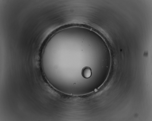 X0000101970926200807181101