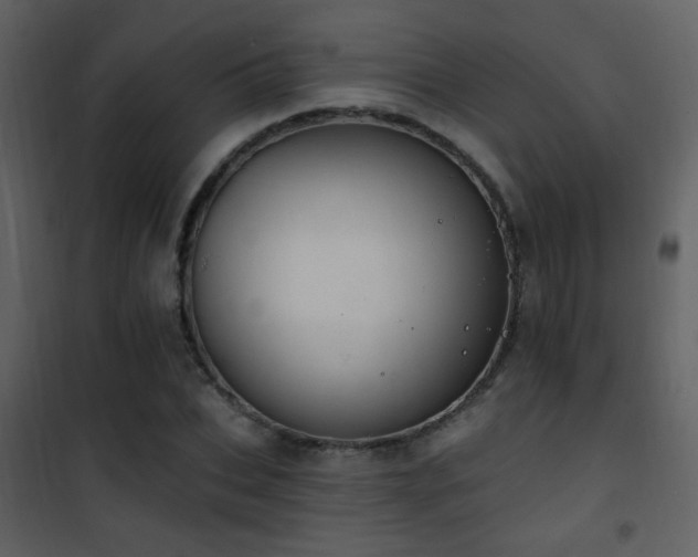 X0000101970927200807181101