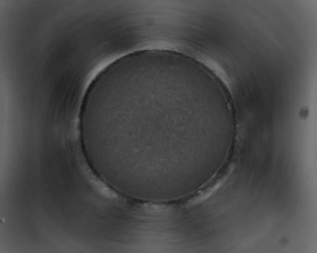 X0000101970928200807181101