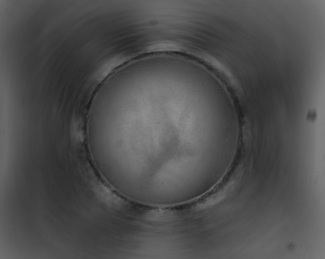 X0000101970929200807181101
