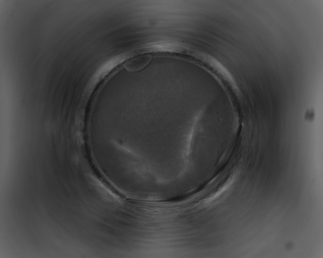 X0000101970930200807181101