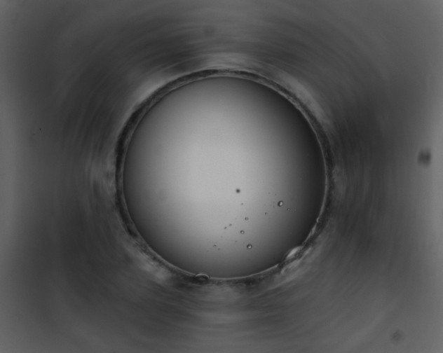 X0000101970931200807181101