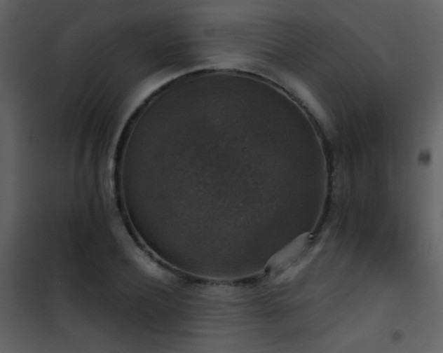 X0000101970932200807181101