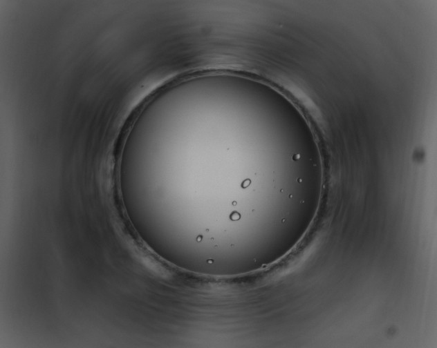 X0000101970933200807181101