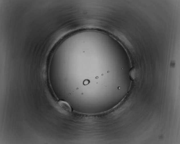 X0000101970934200807181101
