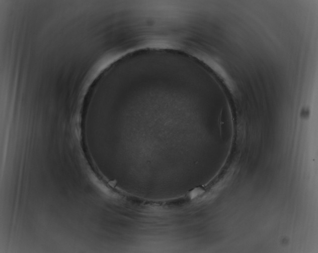 X0000101970935200807181101